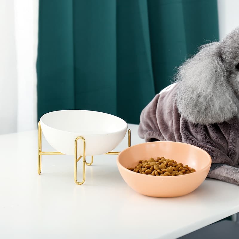 Classic Pet Bowl thumbnail 1