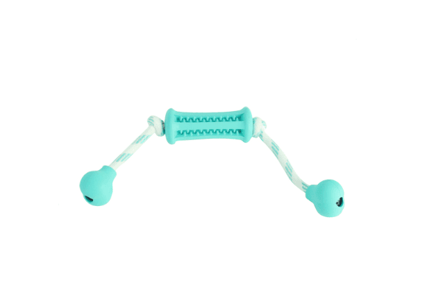 Dog Molar Toy thumbnail 4