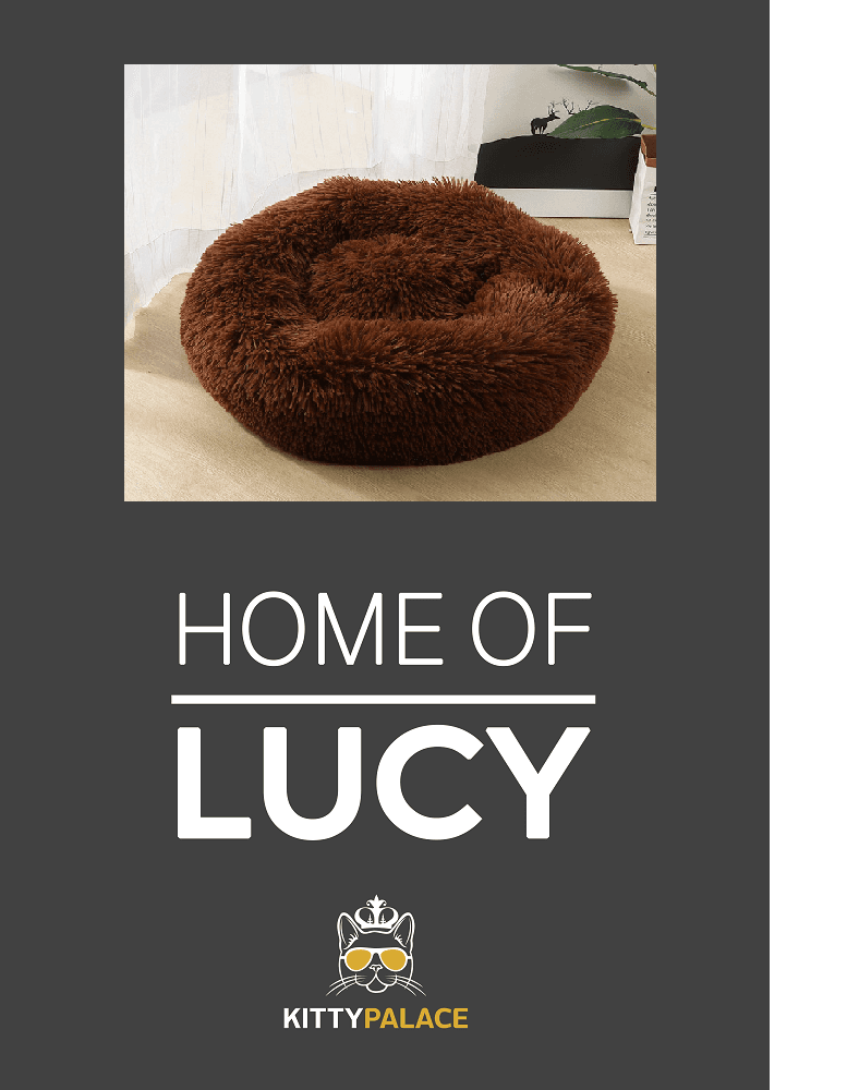 Pet Bed With Carpet thumbnail 3