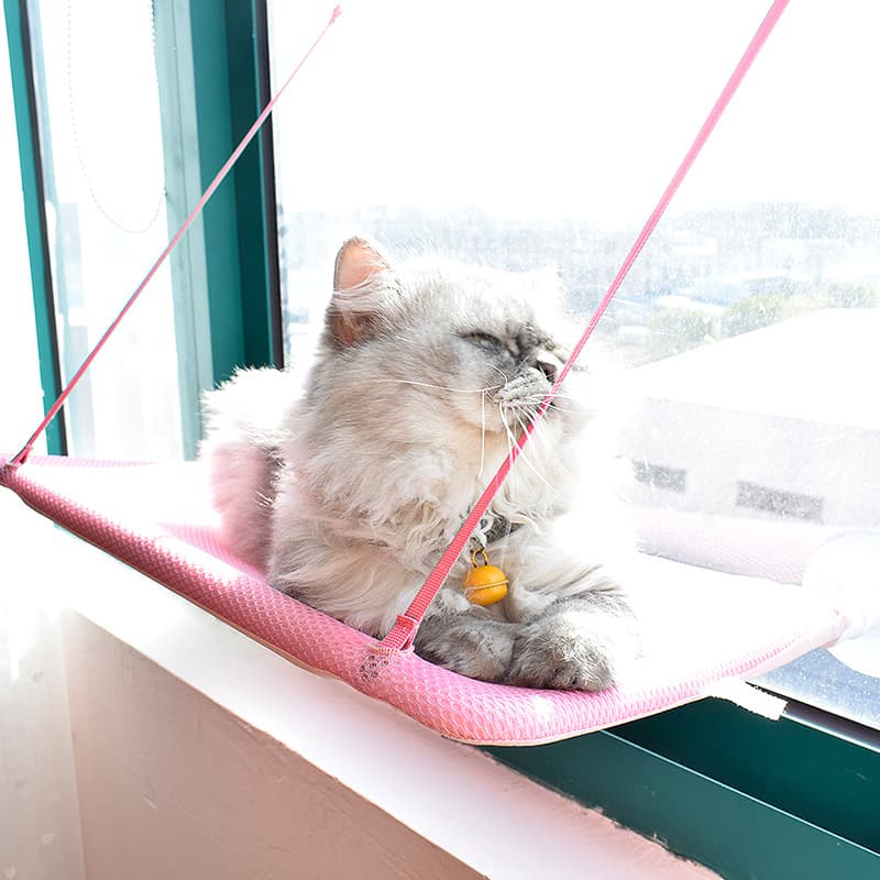Suction Cup Pet Hanging Bed thumbnail 2