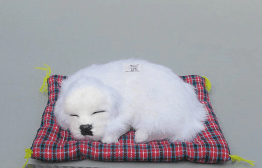 Sound Dog Toy thumbnail 4
