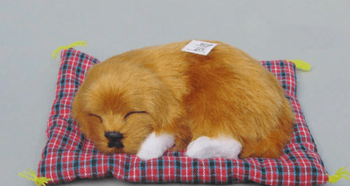 Sound Dog Toy thumbnail 3