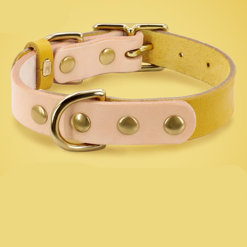 Leather Cat Collar thumbnail 5