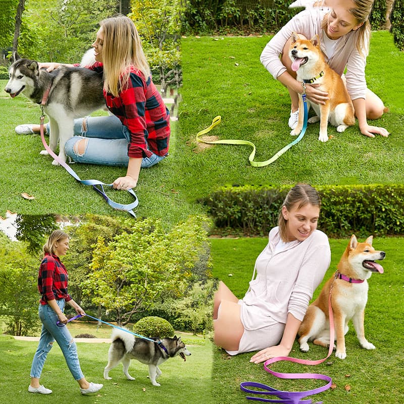 Dog Collar Leash Gradient Solid