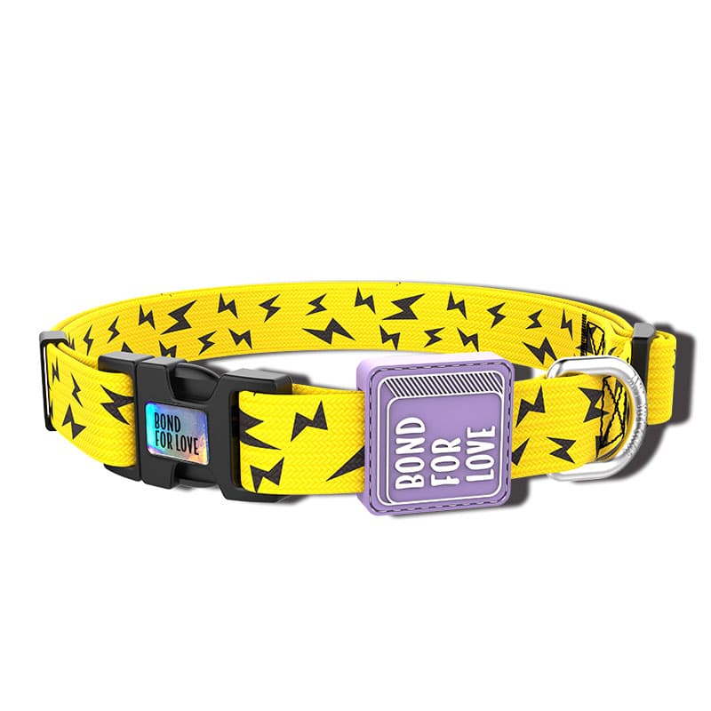 Fashion Simple Dog Webbing Collar thumbnail 3