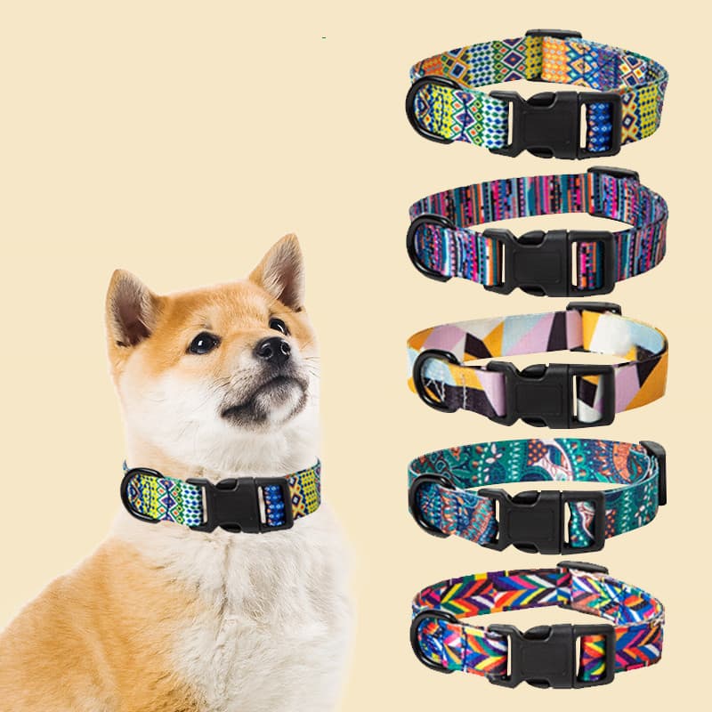 Dog Collar Neck Leash