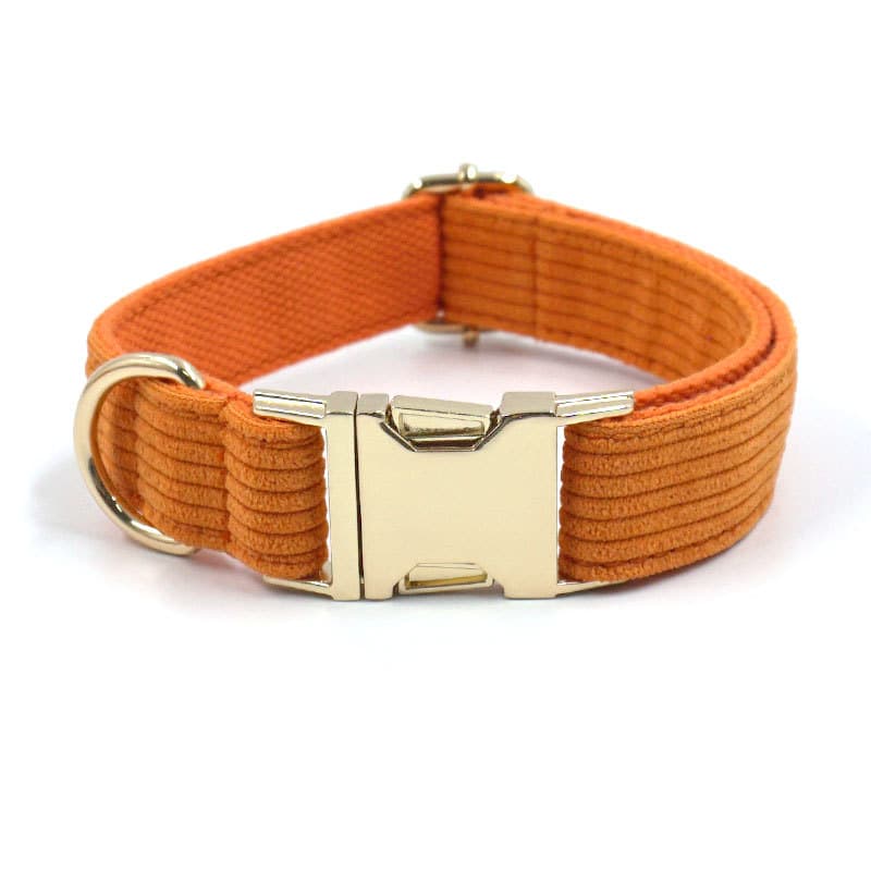Collar Metal Buckle Soft Corduroy