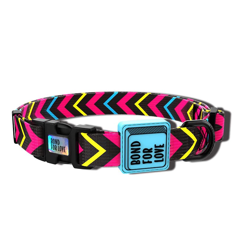 Fashion Simple Dog Webbing Collar thumbnail 4