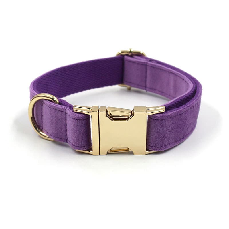 Deep Purple Velvet Gold Buckle