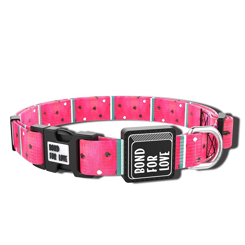 Fashion Simple Dog Webbing Collar thumbnail 6
