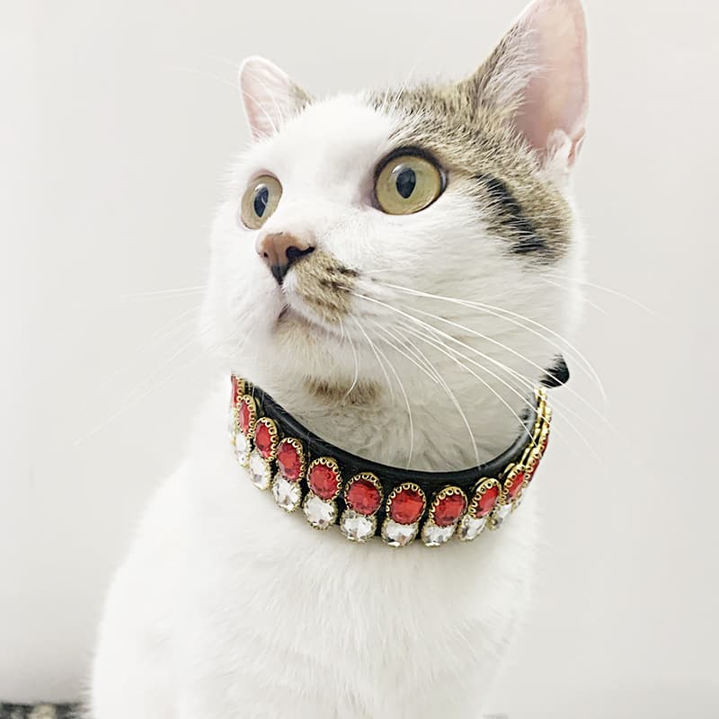 Retro Dog Rope Cat Collar
