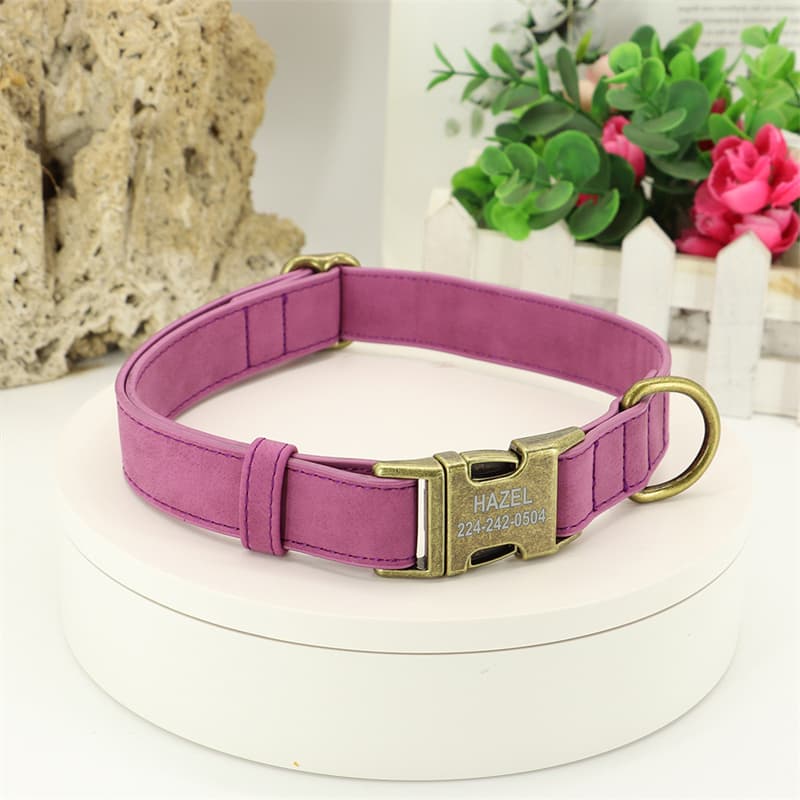 Teddy Corgi Dog Collar Medium
