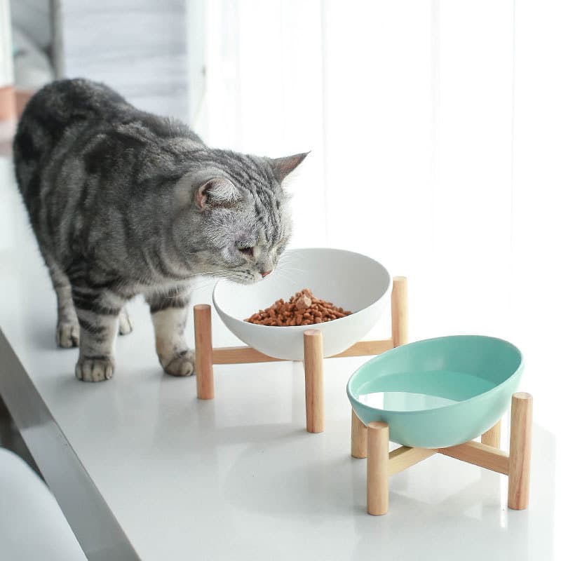 Ceramic Cat Bowl Dog Drinking view 1