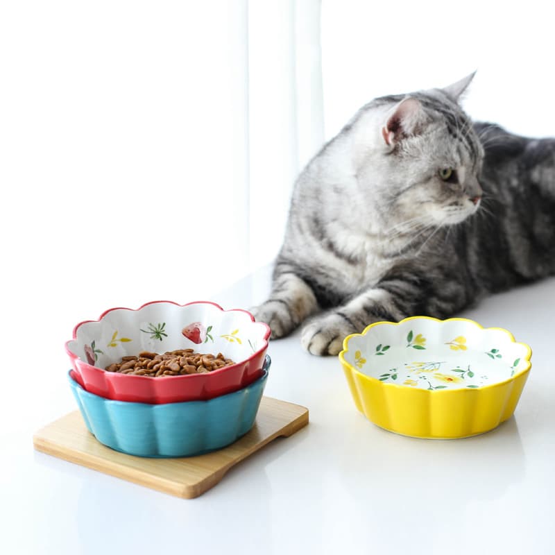 Ceramic Pet Bowl view 1