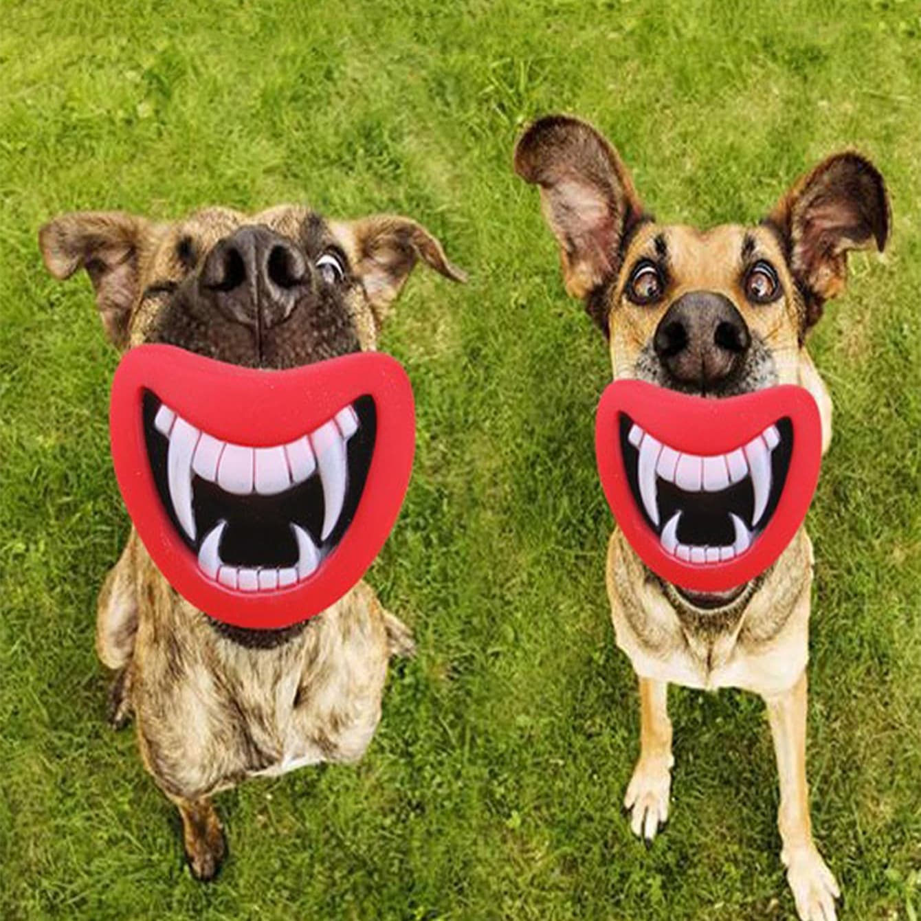 Dog Enamel Sounding Toy Pacifier view 1