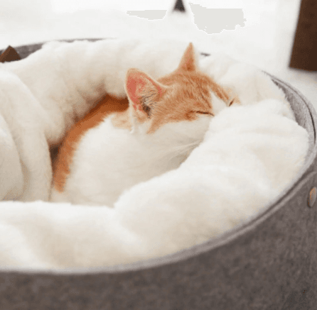 Essential Pet Bed view 1
