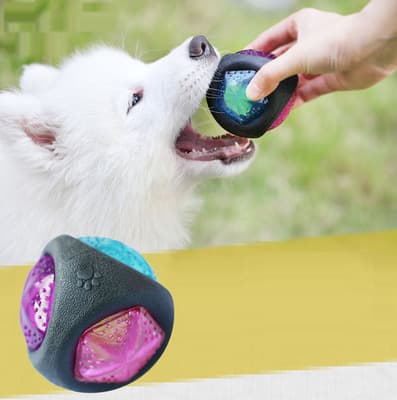 Dog Toy Ball view 1