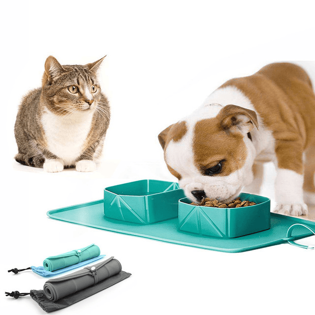 Pet Bowl Silicone Folding view 1