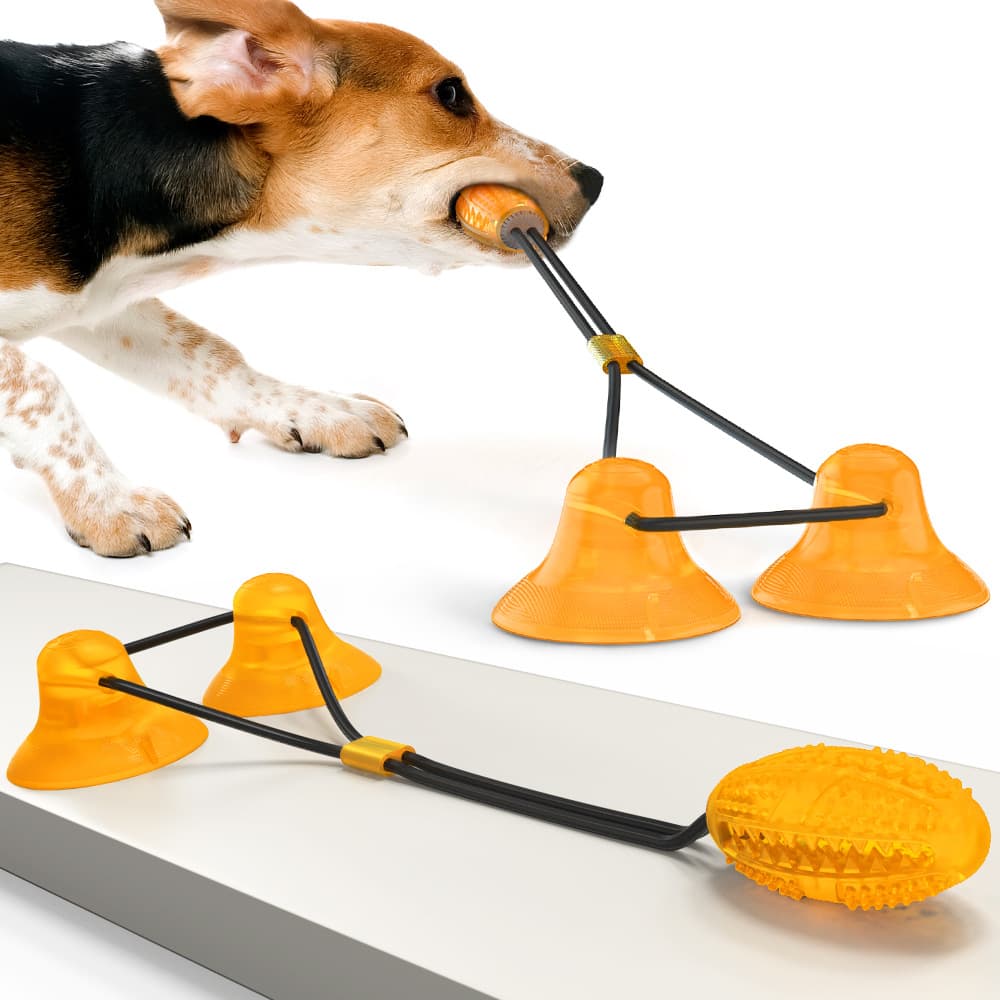 Dog Rubber Toy Set view 1