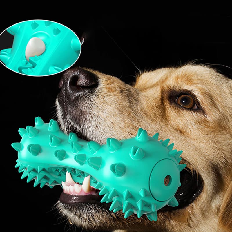 Vocal Dog Toothbrush Toy view 1