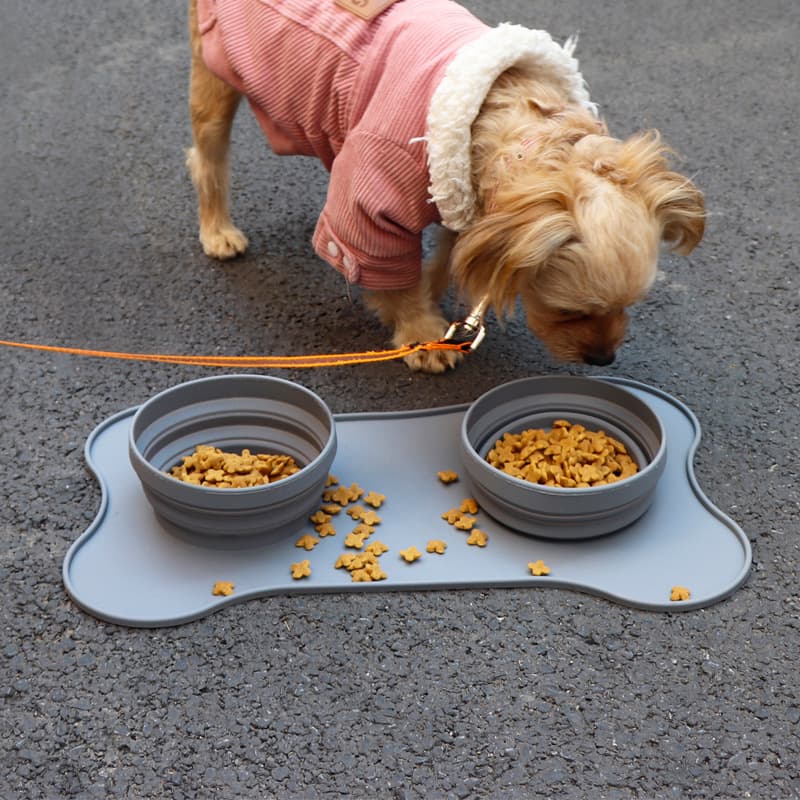 Silicone Pet Bowl view 1