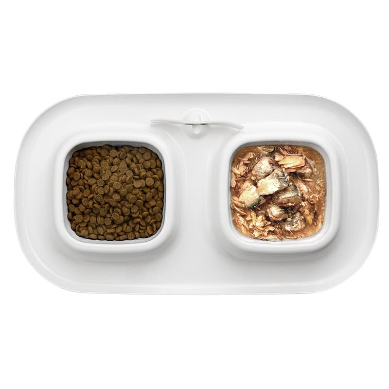 Cat Bowl Double view 1