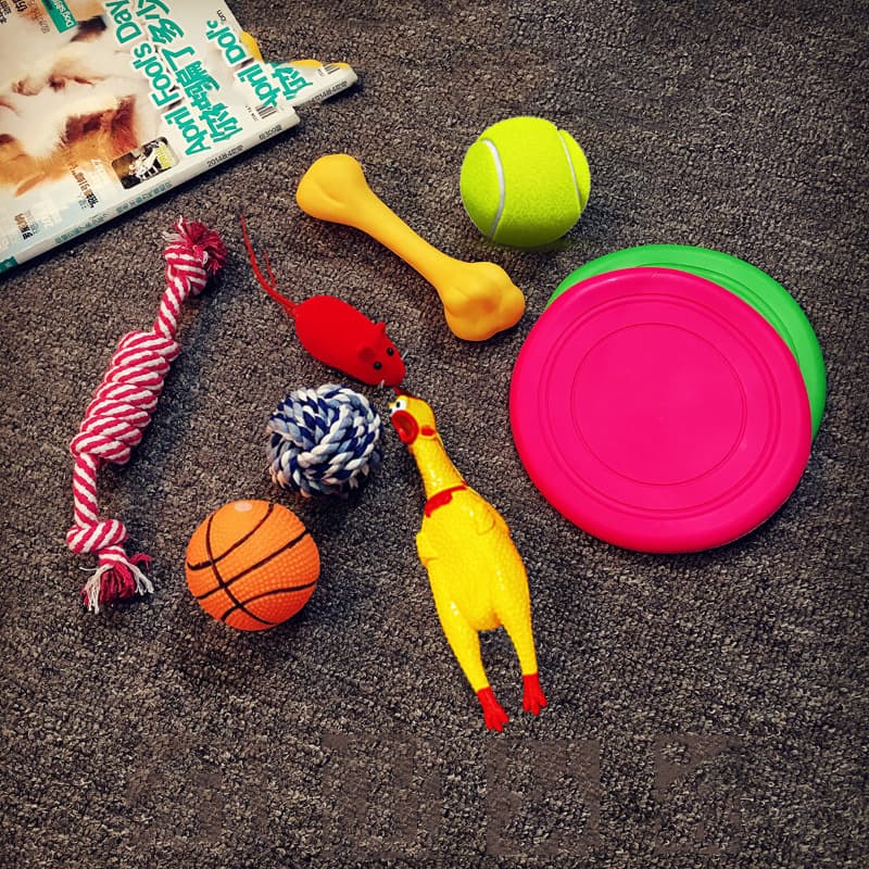 Vocal Dog Toy view 1
