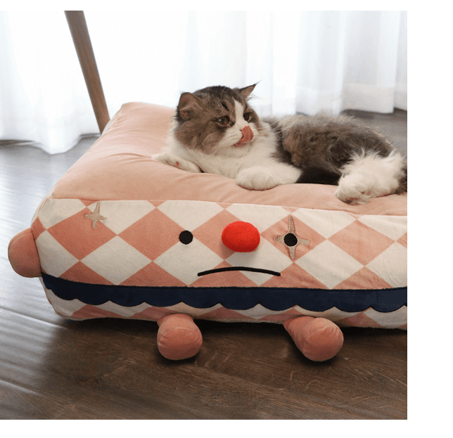 Clown Pet Sleeps In A view 1