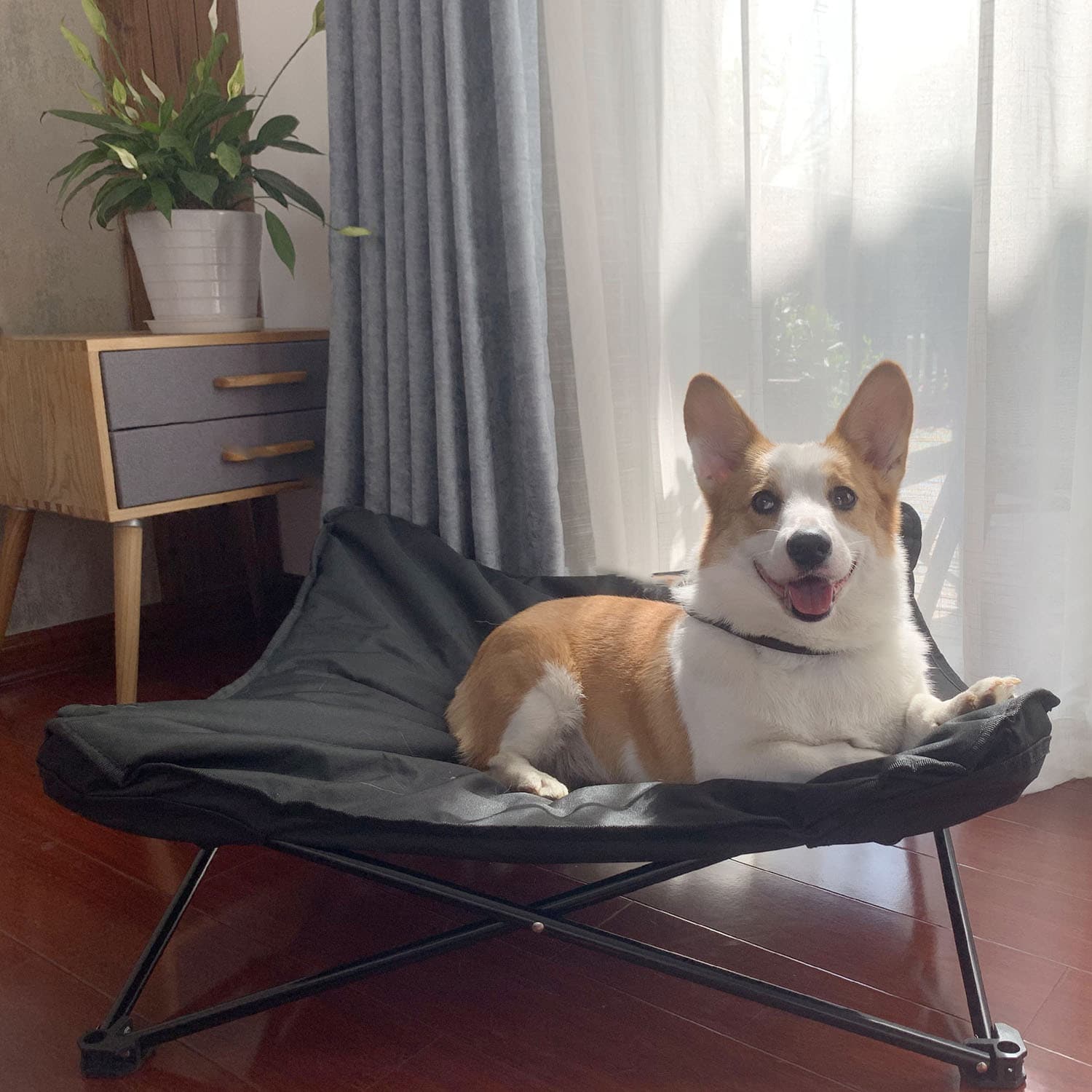 Pet March Bed Oxford Cloth view 1