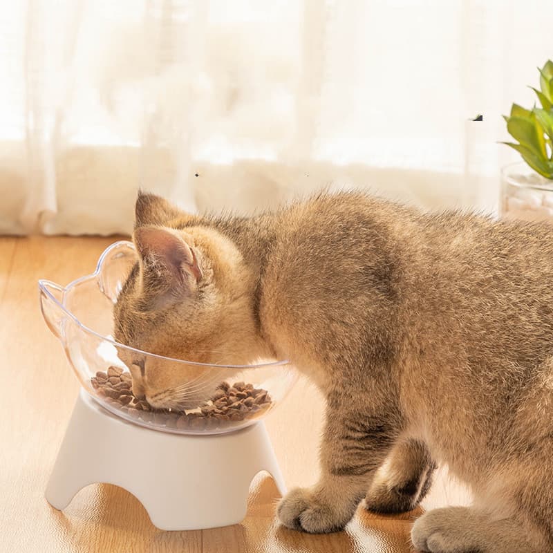 Cat Bowl Dog Single Non view 1