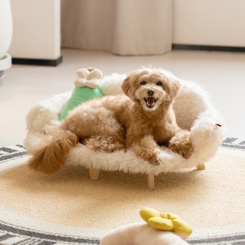 Wooden Bed Kennel Dogs And view 1