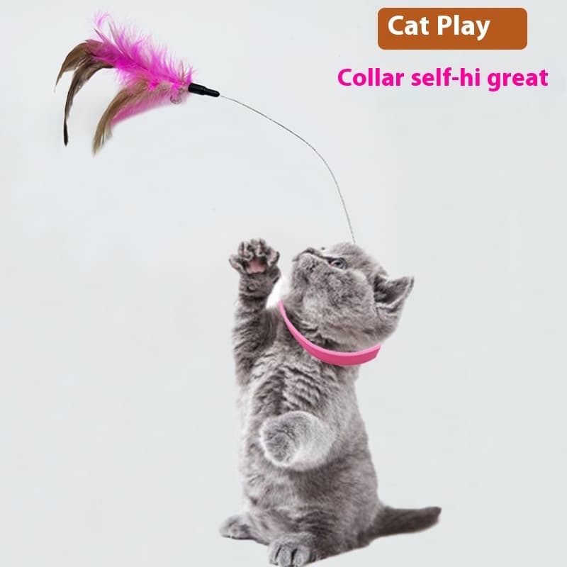 Collar Cat Self Happiness Relief view 1